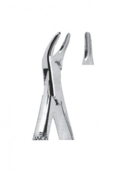 Extracting Forceps